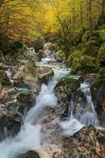 Torrent