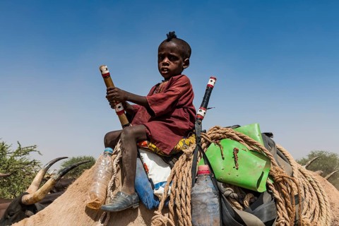 Little boy on a camel with a caravan of Peul nomads with their animals in the Sahel of Niger