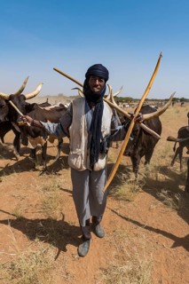 Caravan of Peul nomads with their animals in the Sahel of Niger