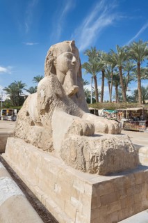 The Memphis sphinx