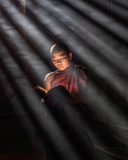 Buddhist young monk in red robe reading standing in front of rays of light in a temple
