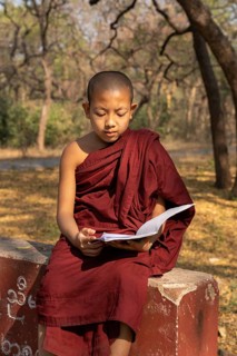 Child monk with red robe reading on a red wall