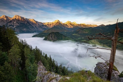 Almsee im Nebel