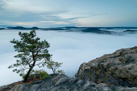 Fog in the Elbe valley