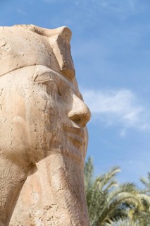 The Memphis sphinx