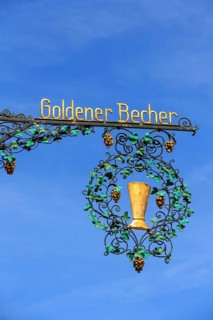 Golden cup