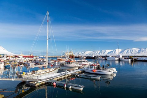 Harbour of Dalvik in winter