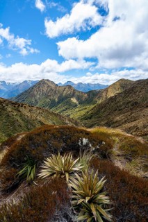View of Murchison Mountains and Kepler Mountains