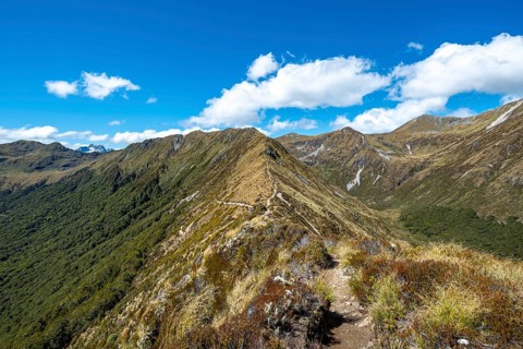 Kepler Track