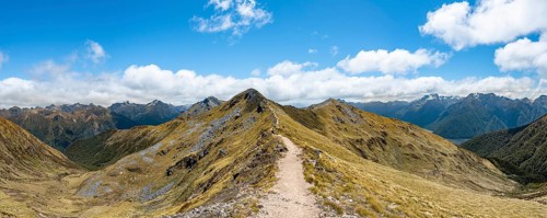 Kepler Track