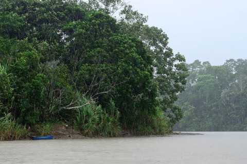 Rio Napo in pouring rain