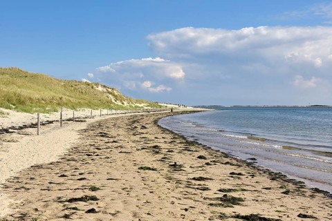 Shore of the Wadden Sea at Odde