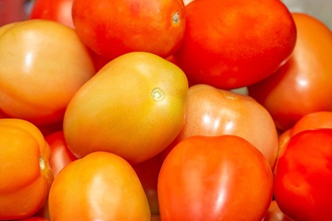 Fresh organic ripe tomatoes in the central market of the capital city of Port Louis