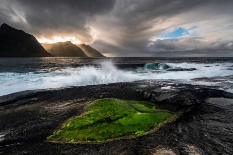Rocky coast of Tungeneset