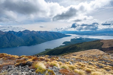 View of the South Fiord of Lake Te Anau