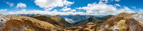 Kepler Track