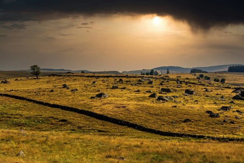 Aubrac plateau