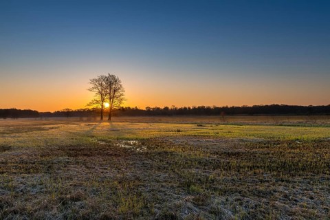 Sunrise in the Moenchbruch Nature Reserve
