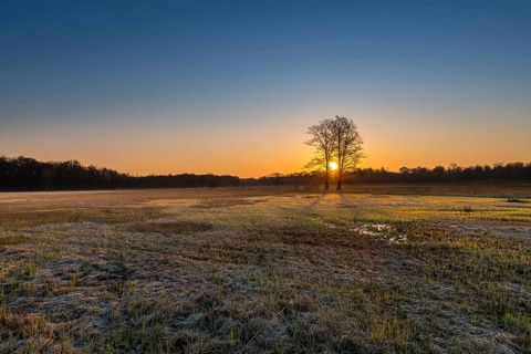 Sunrise in the Moenchbruch Nature Reserve