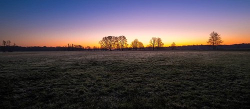 Sunrise in the Moenchbruch Nature Reserve