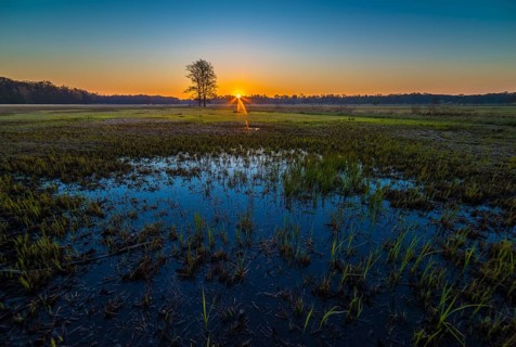 Sunrise in the Moenchbruch Nature Reserve