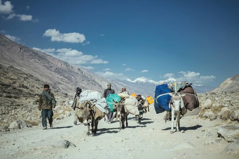 Trade caravan