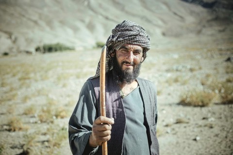 Portrait Shepherd