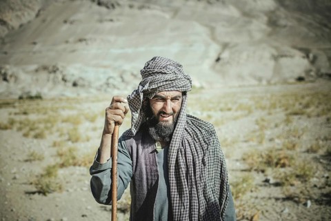 Portrait Shepherd