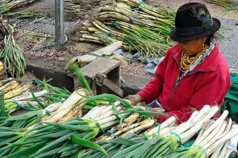 Leek stand at the market