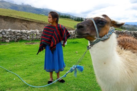 Indigenous girl and llama in a meadow