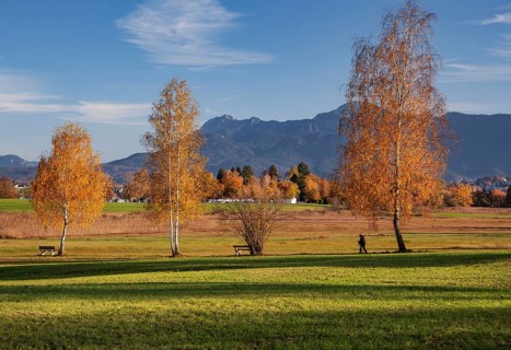 Autumn landscape with Herzogstand and Heimgarten