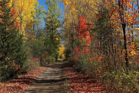 Hiking trail through autumn landscape
