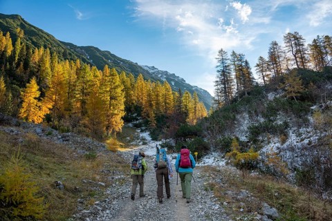 Three hikers on a hiking trail