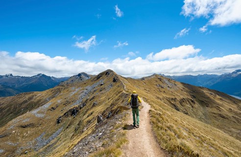 Hiker on Kepler Track