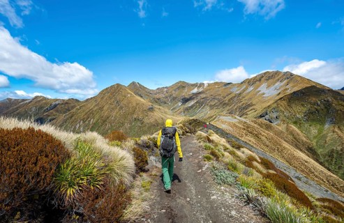 Hiker on Kepler Track
