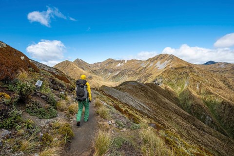 Hiker on Kepler Track
