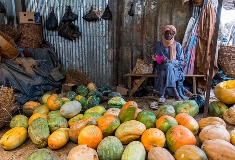 Local man selling pumpkins
