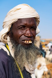 Tuareg at the animal market