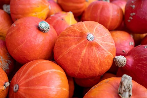 Hokkaido pumpkin