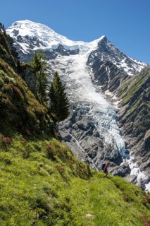 Hiker in front of glacier