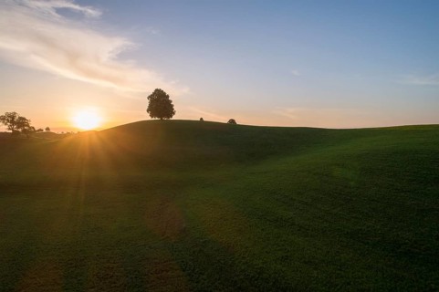 Sunset with lime tree on Drumlinhuegel