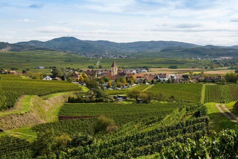 Burkheim