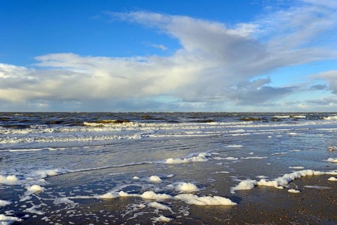 Waves on a sandy beach with foam formation