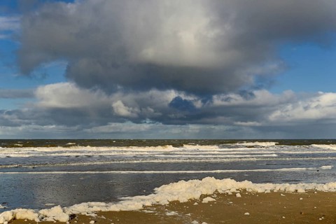 Waves on a sandy beach with foam formation