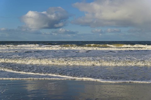 Waves on a sandy beach with foam formation