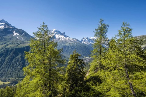 Mountain panorama from Aiguillette des Posettes