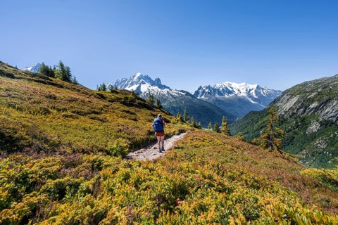 Hiker on hiking trail