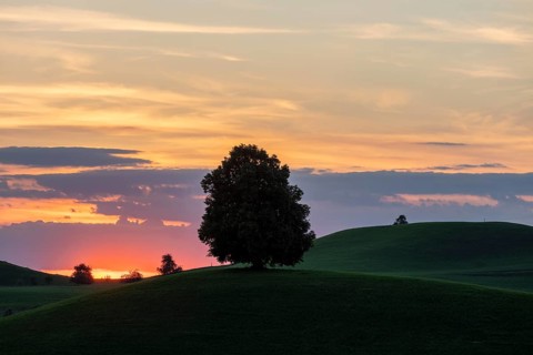 Drumlins