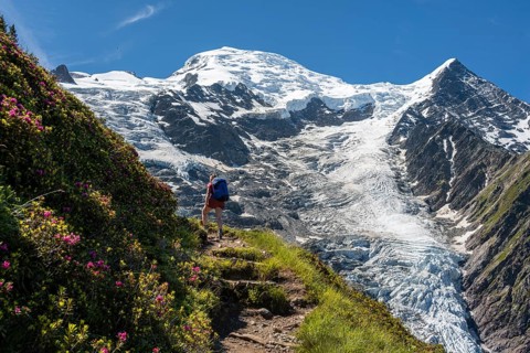 Hiker on hiking trail