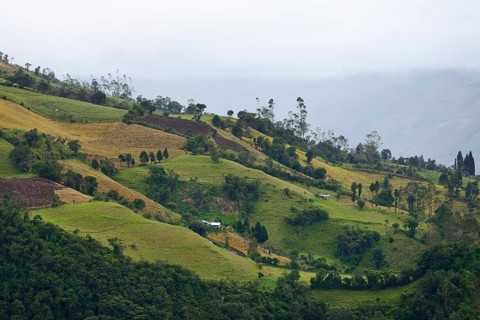 Landscape at the foot of the volcano Tungurahua